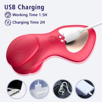 Paraty Şarjlı Kablosuz Kumandalı Mıknatıslı Klitoris Uyarıcı Giyilebilir Vibratör